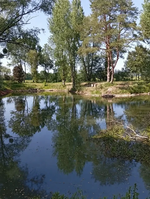 Reflets d'été